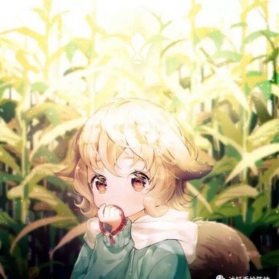 中国航班再次到朝鲜